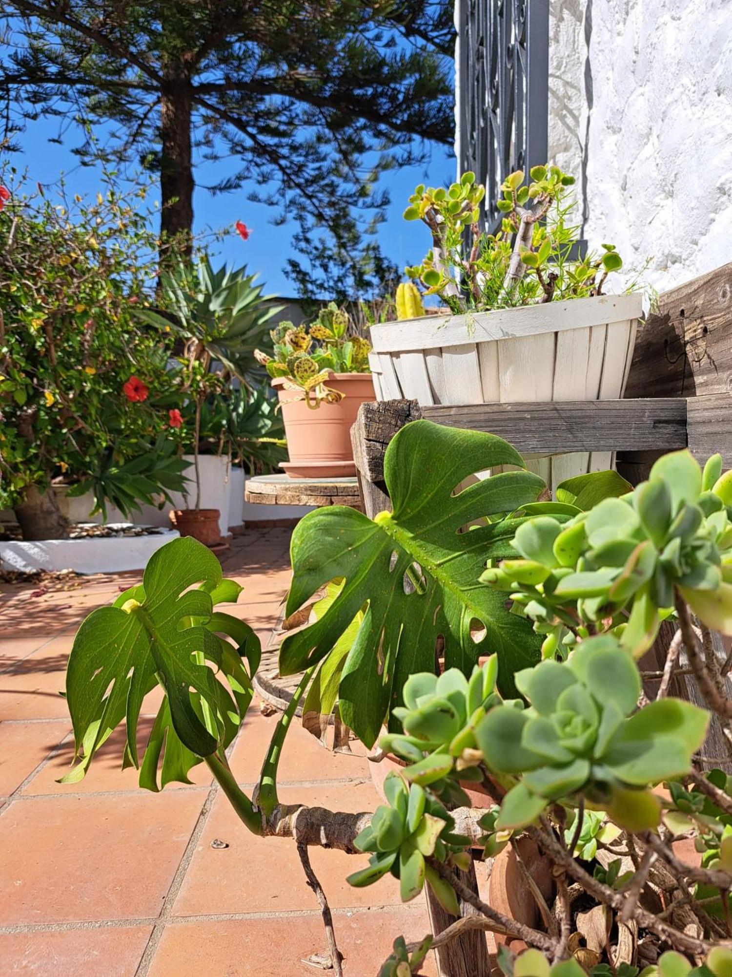 Casa Campo Mijas Costa Del Sol Малага Екстер'єр фото